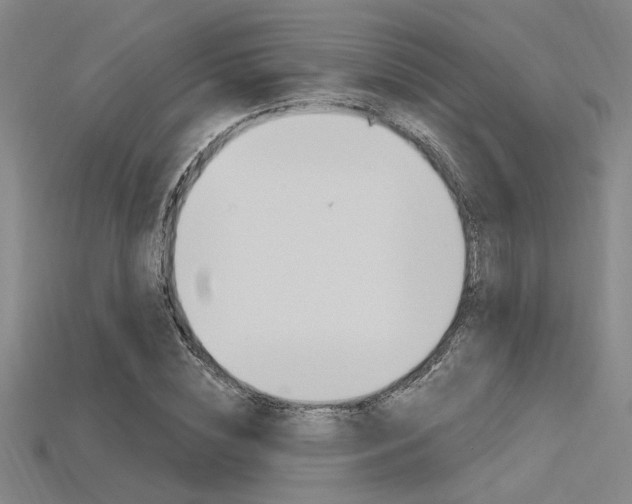 X0000115810828200911131040