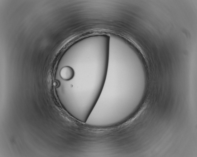 X0000115810829200911131040
