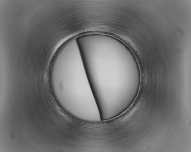 X0000115810830200911131040