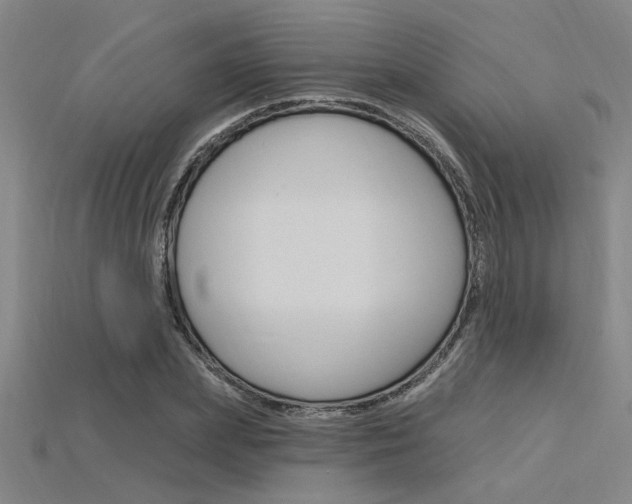 X0000115810831200911131040