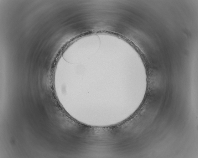 X0000115810832200911131040