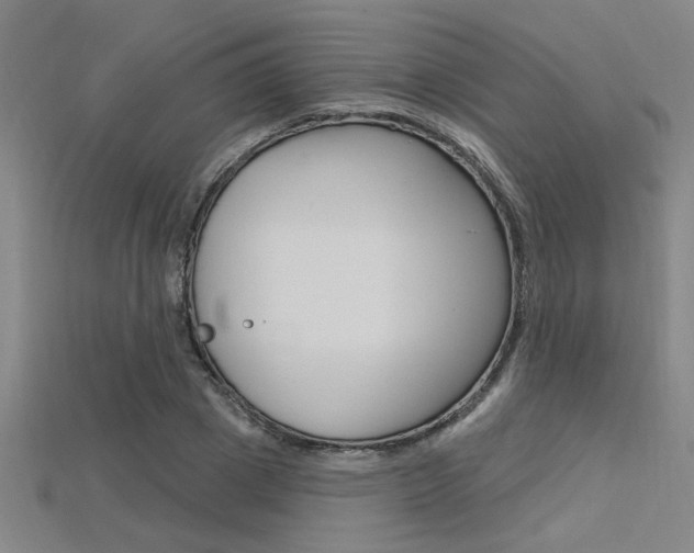 X0000115810833200911131040