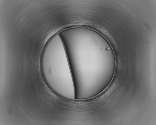 X0000115810834200911131040