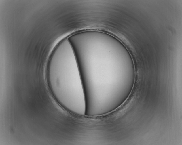 X0000115810838200911131040
