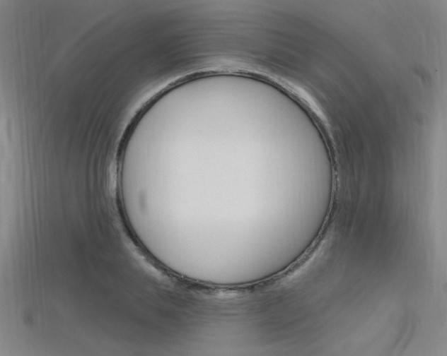 X0000115810839200911131040