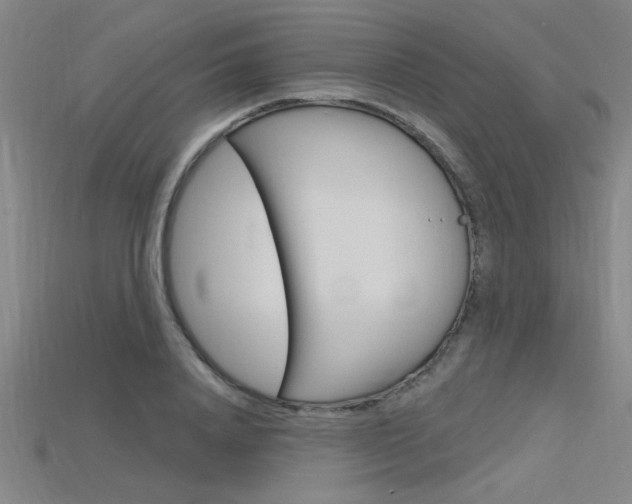 X0000115810840200911131040