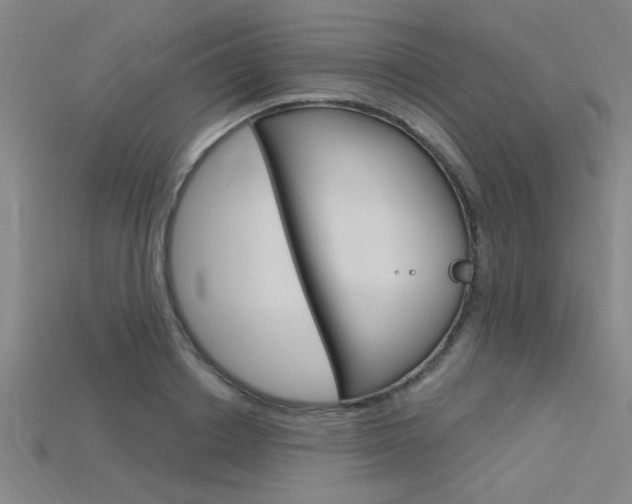 X0000115810842200911131041