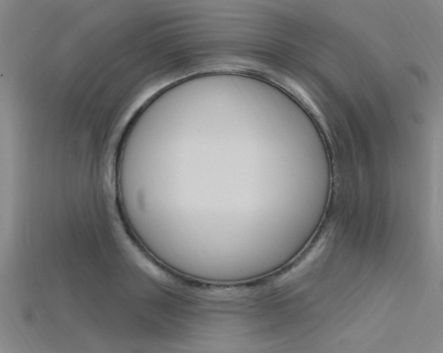 X0000115810843200911131041