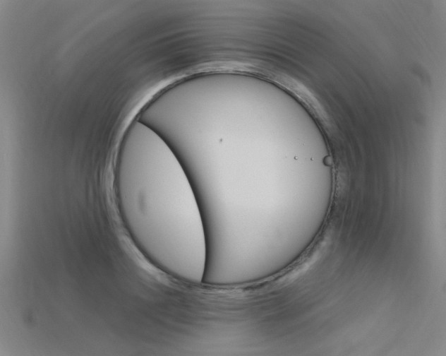 X0000115810844200911131041