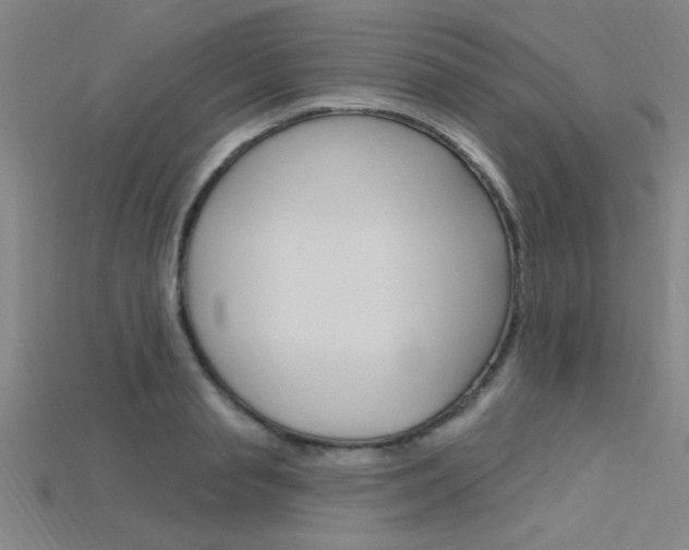 X0000115810845200911131041