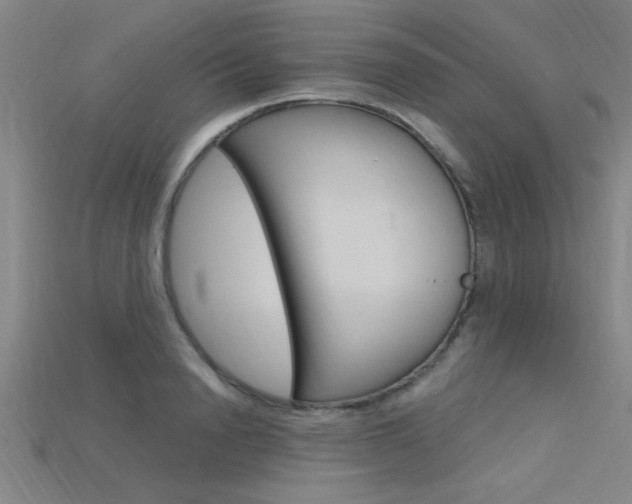 X0000115810846200911131041