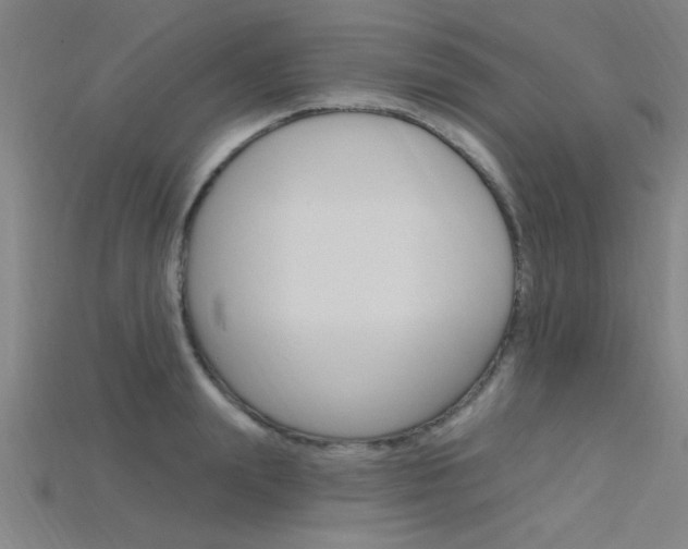 X0000115810847200911131041