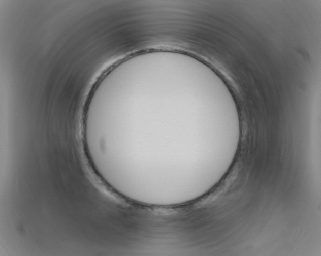 X0000115810848200911131041