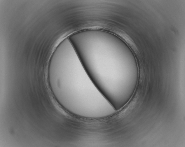 X0000115810850200911131041