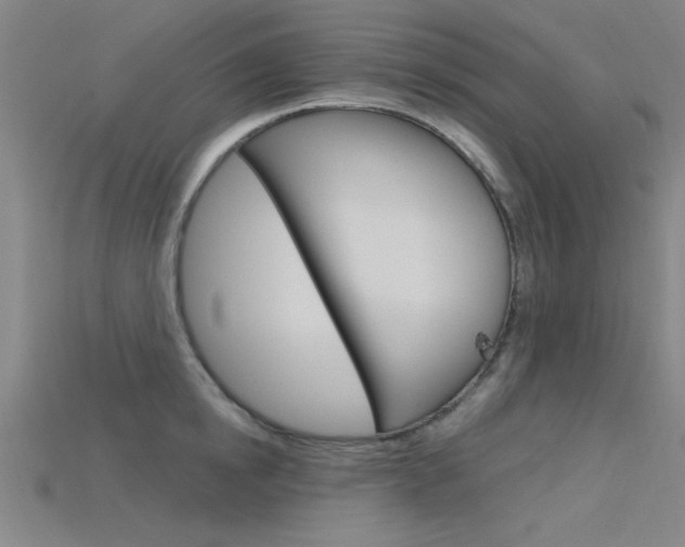 X0000115810854200911131041
