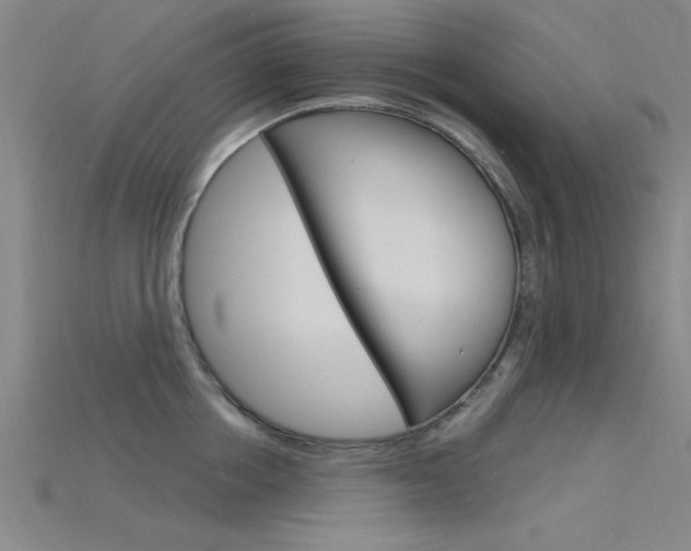 X0000115810858200911131041