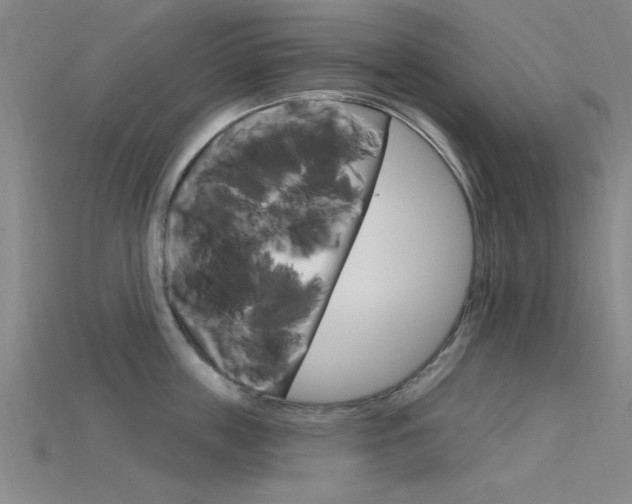 X0000115810859200911131041