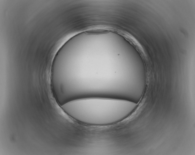 X0000115810860200911131041