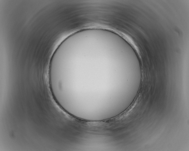 X0000115810863200911131041