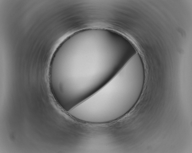 X0000115810864200911131041