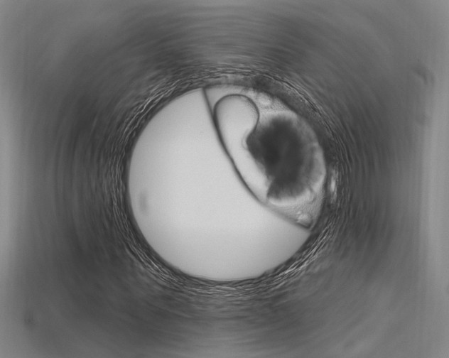 X0000115810867200911131040