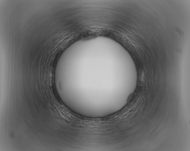 X0000115810868200911131040