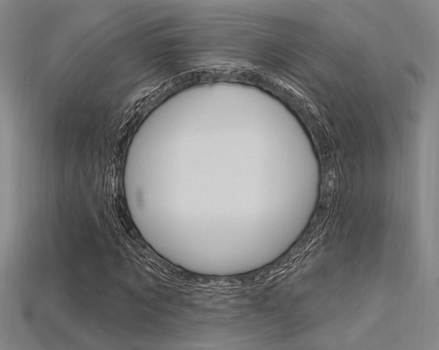 X0000115810869200911131040