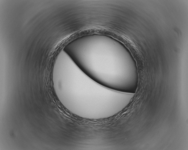 X0000115810872200911131040