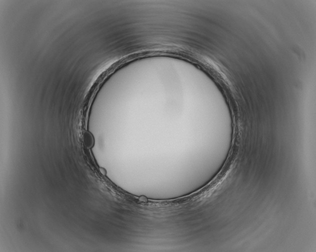 X0000115810875200911131040