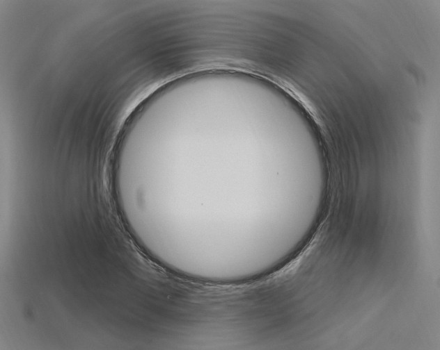 X0000115810877200911131040