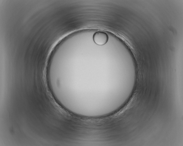 X0000115810880200911131040
