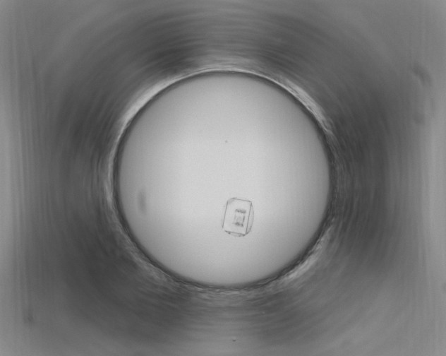 X0000115810885200911131040