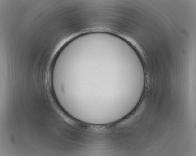 X0000115810886200911131040