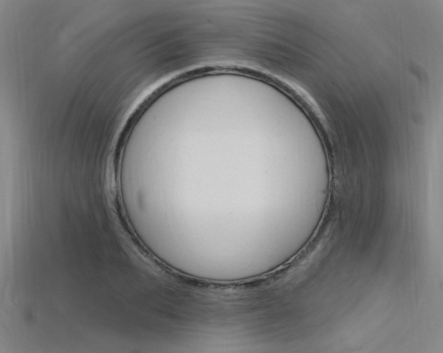 X0000115810887200911131040
