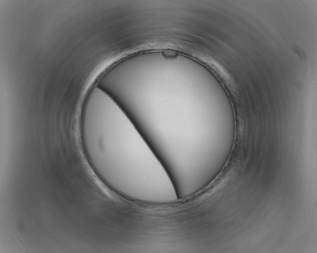 X0000115810894200911131040
