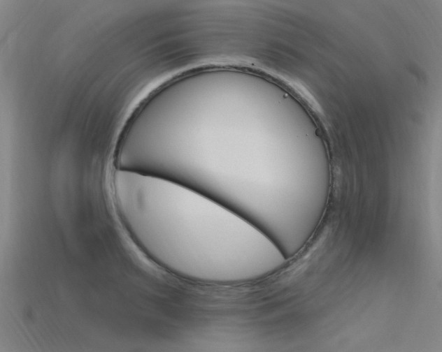 X0000115810895200911131040