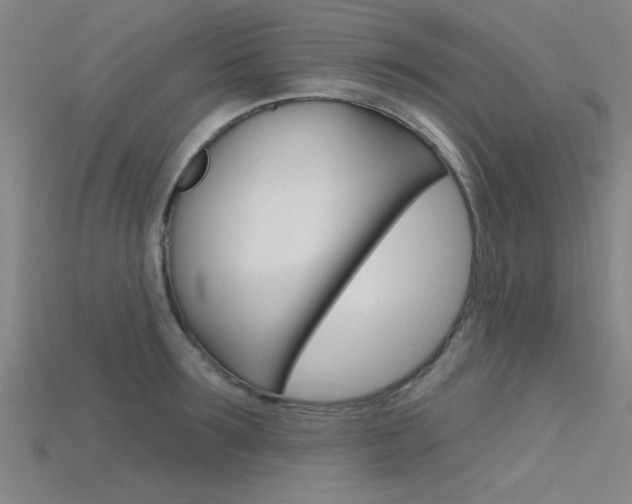 X0000115810899200911131040