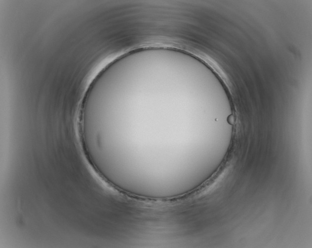 X0000115810901200911131040