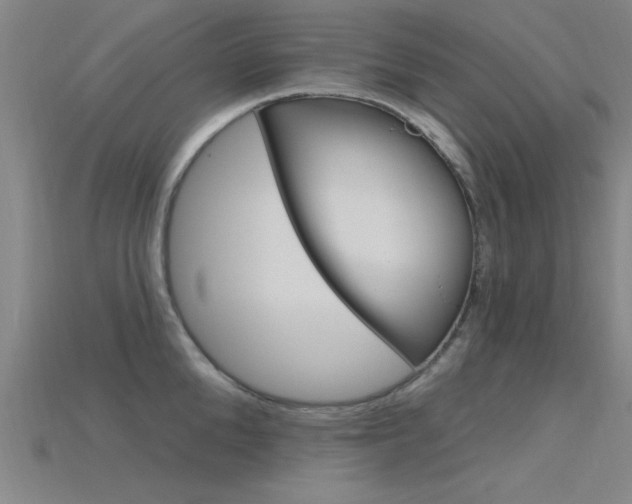 X0000115810904200911131040
