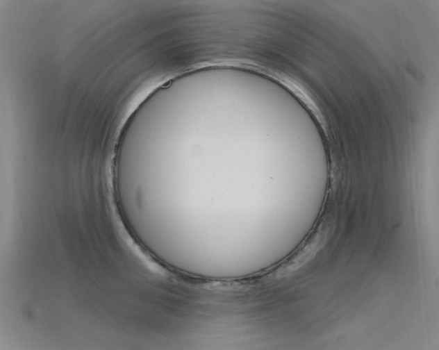 X0000115810906200911131040
