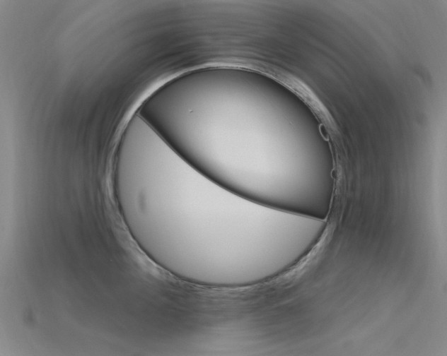 X0000115810908200911131040
