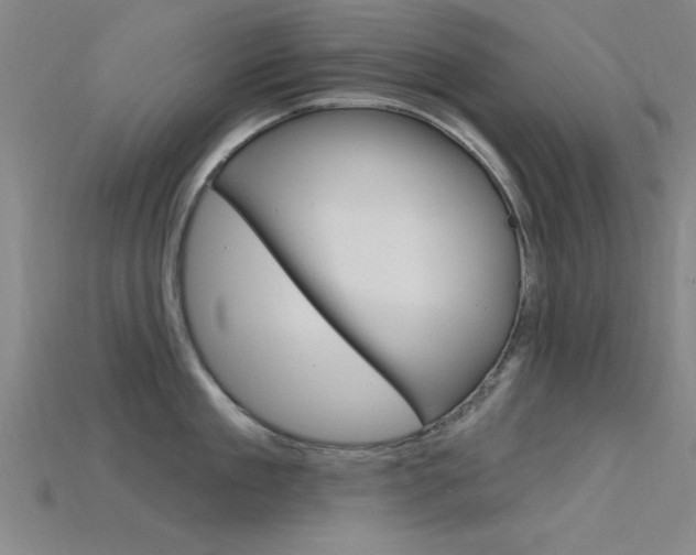 X0000115810909200911131040