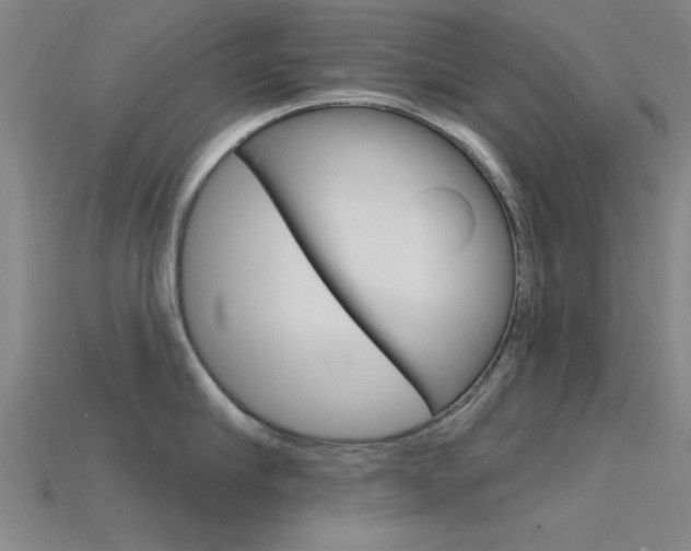 X0000115810910200911131040