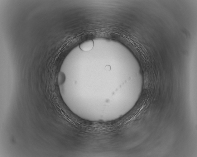 X0000115810913200911131039
