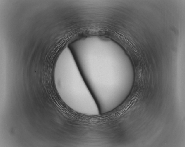 X0000115810914200911131039