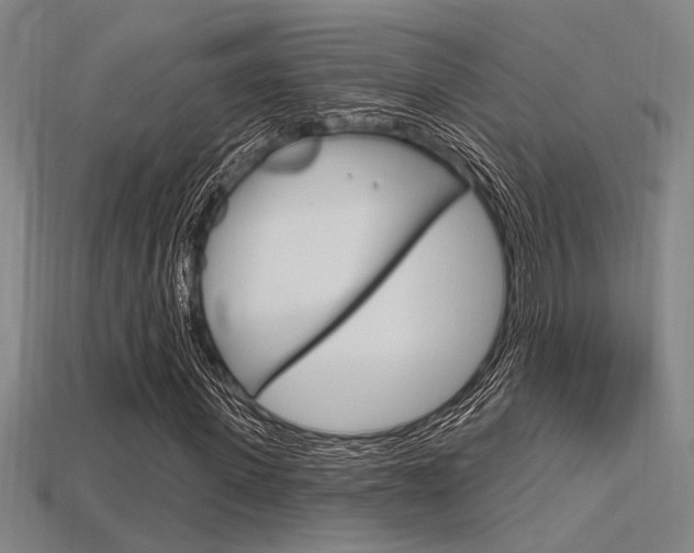 X0000115810915200911131039