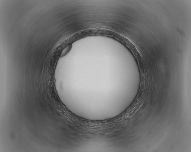 X0000115810919200911131039