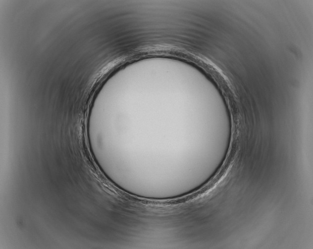 X0000115810921200911131039