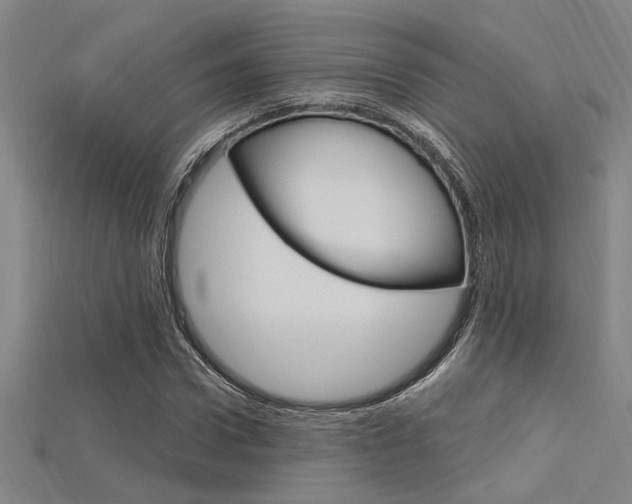 X0000115810922200911131039