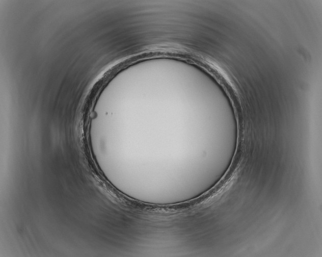 X0000115810923200911131039